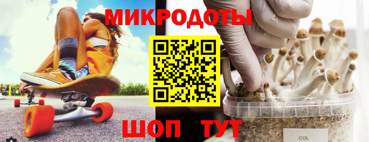 Галлюциногенные грибы MAGIC MUSHROOMS Мурино