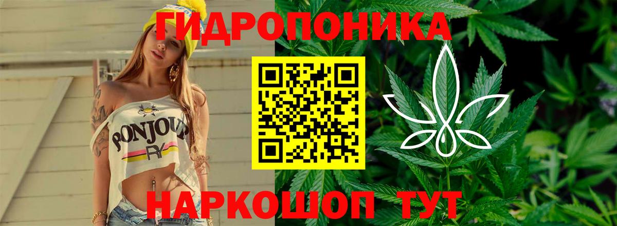 Бошки марихуана ГИДРОПОН Мурино